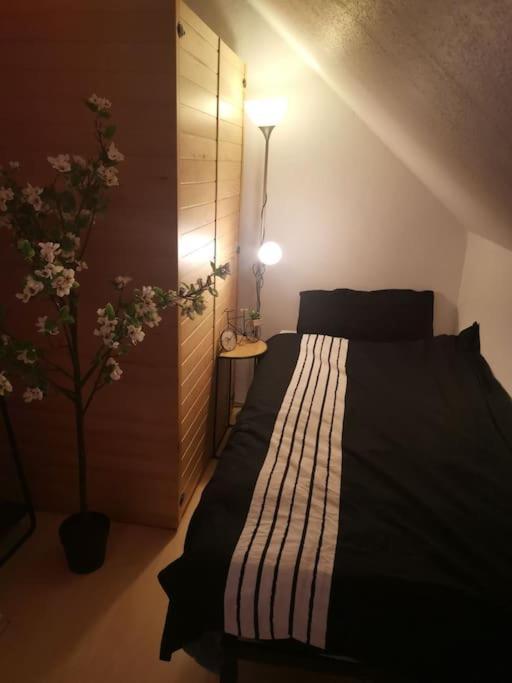 Wohnung Am Kurpark Mit Privater Innensauna & Led! Schluesselbox 보파르트 외부 사진